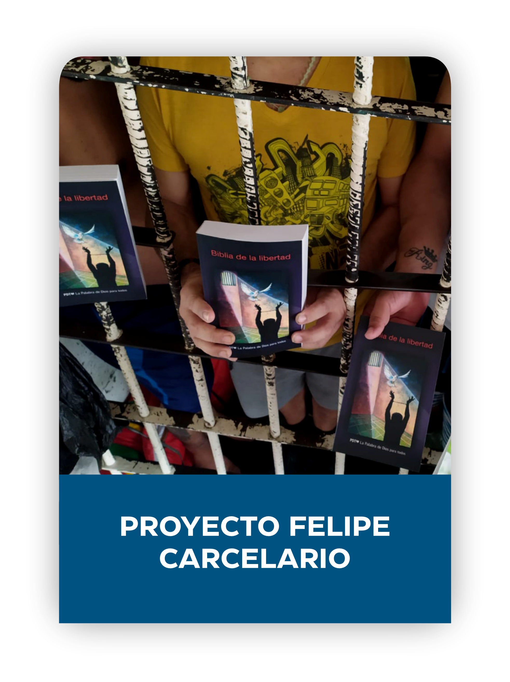 https://ligabiblica.org/