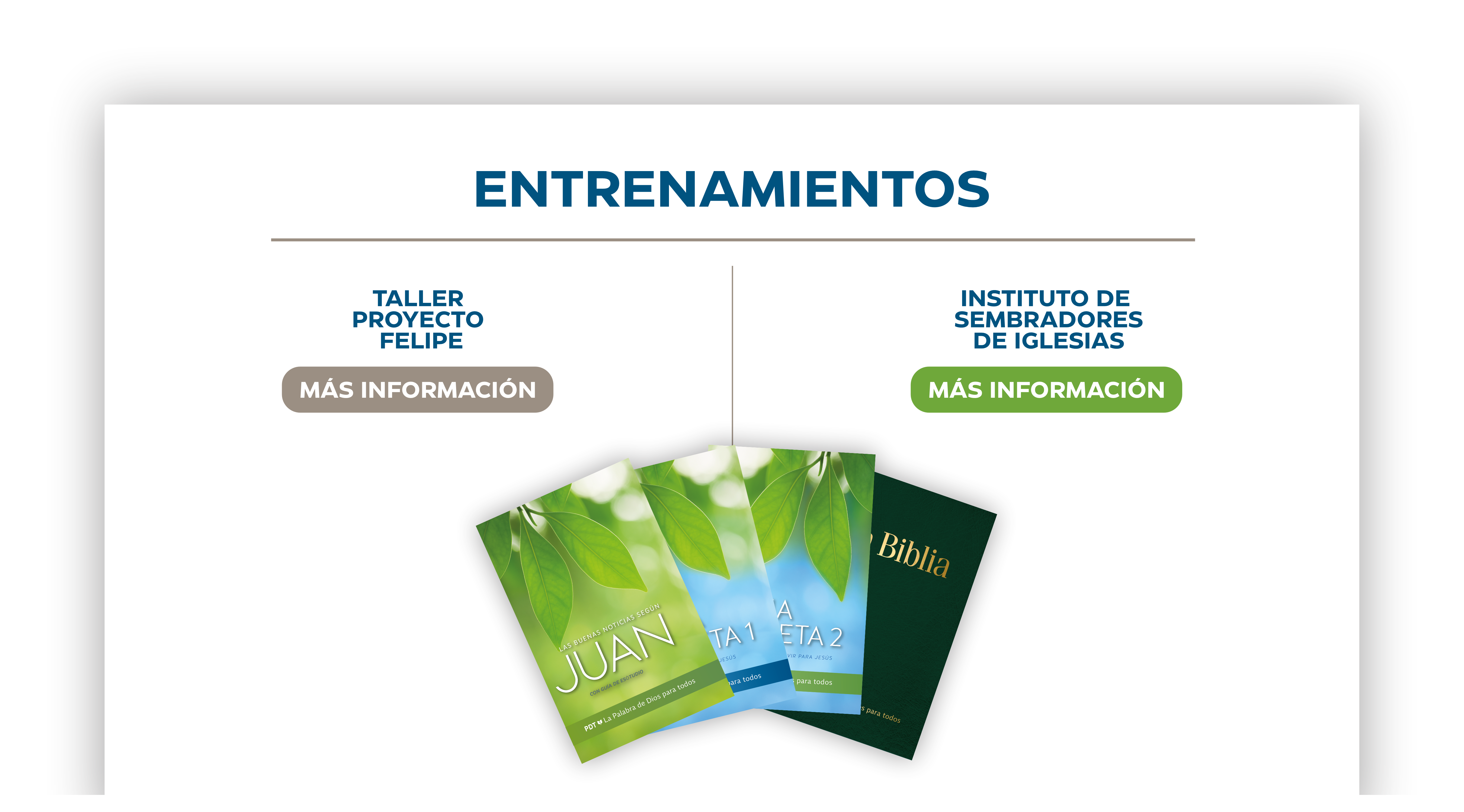 https://ligabiblica.org/